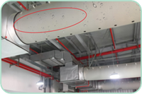 南宫娱乐·NG28(中国)官方网站